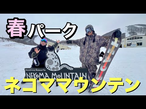 春のパークセッション！ネコママウンテン