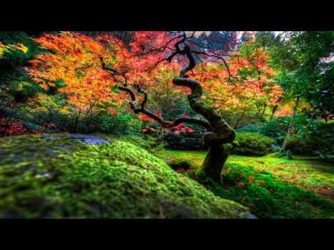 Ferry Tayle feat. Erica Curran - Rescue Me (Noise Killerz Remix) HQ