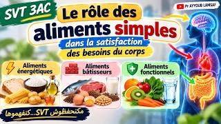 🍞🥩🍊 ماذا تفعل الأغذية داخل جسمنا؟ | Le rôle des aliments simples – SVT 3AC