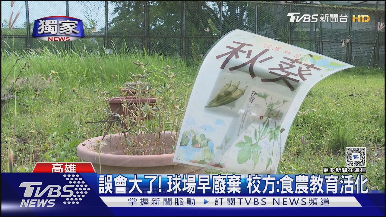 哪會按呢？校園紅土網球場種秋葵、絲瓜　家長目擊傻眼