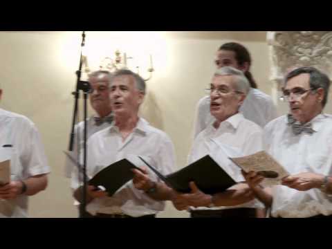 MVA IGK - Dinko FIo: Sinoć kad san ti proša