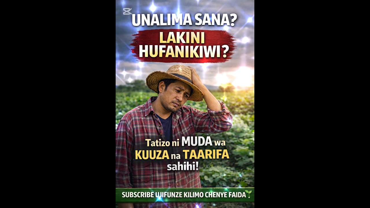UNALIMA SANA LAKINI HUFANIKIWI? #biashara #food #kilimobiashara #mazao