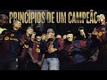 Chefin PRINCÍPIOS DE UM CAMPEÃO Prod Theuzz011 LB Único