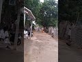 Bhadrakali Videos