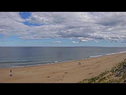 Surf Report Plum Island