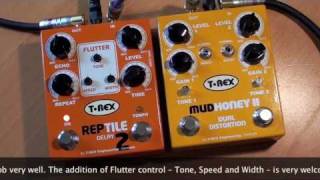 Video thumbnail for T-Rex: Reptile 2 Analog Tape Echo Simulator by Brett Kingman