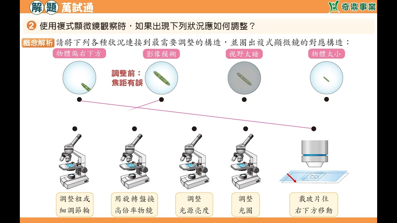 單元1：圖解複式顯微鏡的各種狀況
