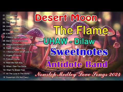 Desert Moon, The Flame,... Antidote Band x Sweetnotes Nonstop Medley OPm Love Songs 2024