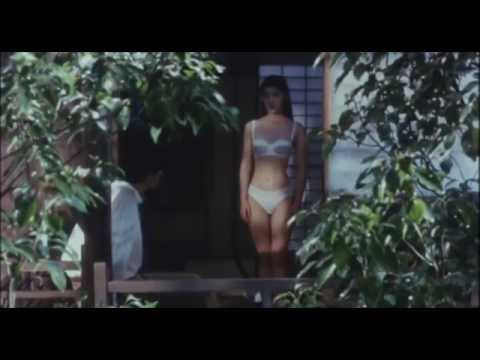afbeelding Haruka Nostalgy (1993)