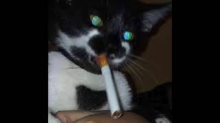 Foreign Burial-Scars