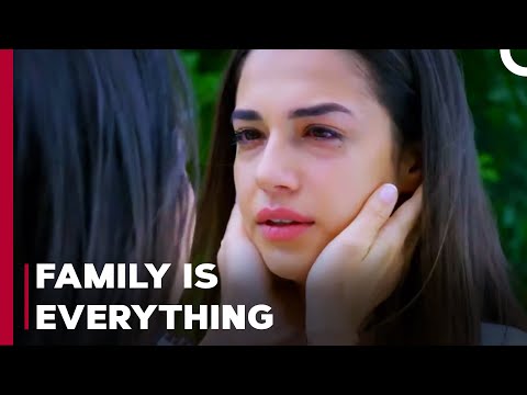 Aslım Told The Truth - Can't Stop Loving You