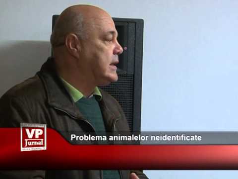 Animalele neidentificate constituie o problemă