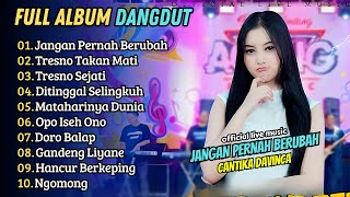 Download lagu Cantika Davinca - JANGAN PERNAH BERUBAH - TRESNO TEKAN MATI | AGENG MUSIK || FULL ALBUM DANGDUT mp3