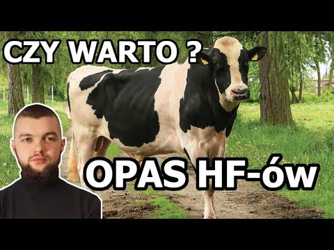 CZY HF-y NADAJĄ SIĘ NA OPAS ?