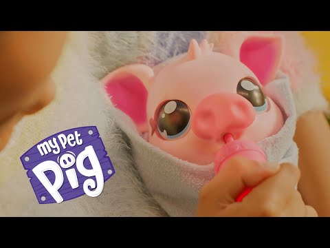 Kaj je Little Live Pets Piggles? (angleščina)