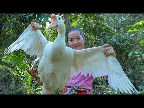 Cooking Tasty Goose Curry Recipe In my Homeland - Cooking Technique