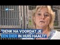 Steeds meer gedumpte dieren bij dierenopvang Schagen