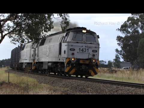 1431 & 1429 - Cootamundra - 11th March 2016