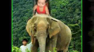 Bakit Kung Sino Pa  gagong rapper