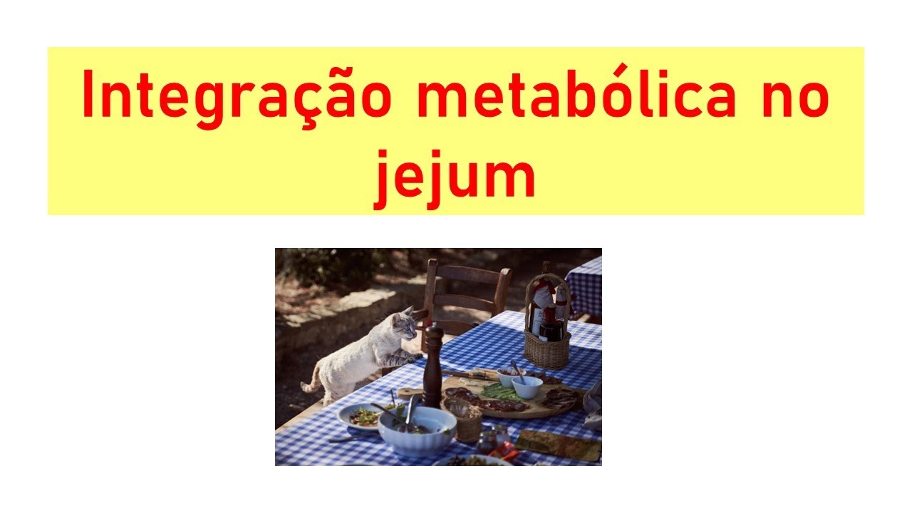 Integração metabólica durante o jejum: fígado, músculos, tecido adiposo e mais!
