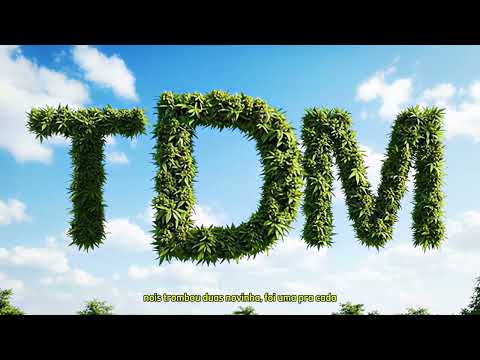 TDM - VO TE MACETA - Fernvnd$, Lil Zé [prod.Lil Zé]