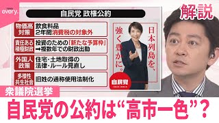 【みんなのギモン】衆院選・自民党の公約は“高市一色”？