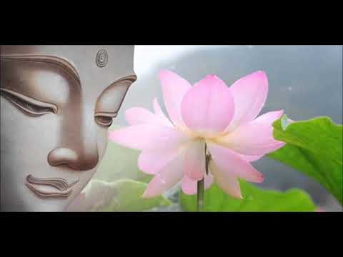 Chúc người mới quy y Sheet - Hiền Tịnh