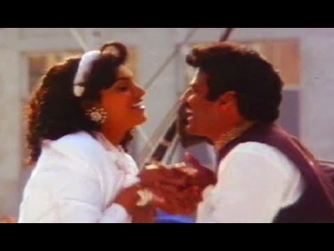 Gandeevam Movie Songs || Chi Chi Baba Chi || ANR || Bala Krishna || Roja