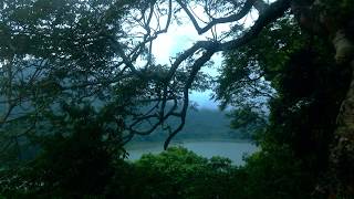 Taste of the Secret Forest at Tamblingan Lake Bali