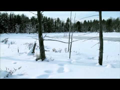 Watch the 2011 NHL Heritage Classic on RDS!