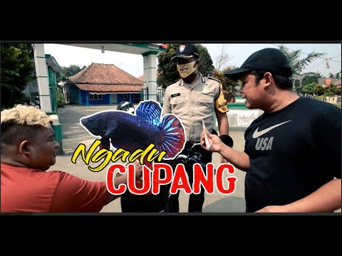 NGADU CUPANG - FILM SUNDA - BOBODORAN SUNDA Eps 03