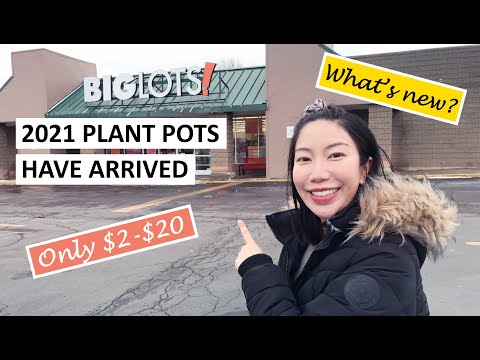 image-What do you call a large plant pot?