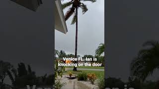 Hurricane Ian update Venice FL. 7:55am wind has slowed down for a little bit but picking back up.