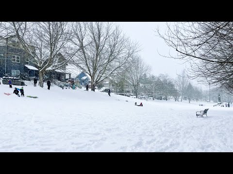 Seattle Snow 2021 | Columbia City Neighborhood Winter Walkthrough (4K)