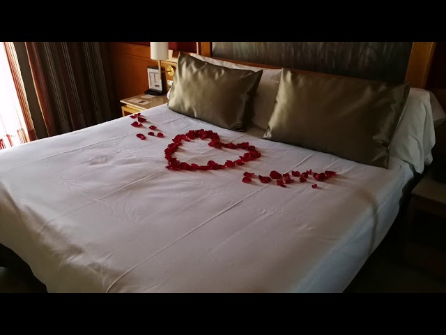 Vídeo relacionado con WTZWYFWJ Kit Romántico de Velas y Pétalos,1000 Pétalos de Rosa Artificiales 50 Velas Corazón Rojo 10 Globos Corazón Rojo Deco,Kit de Decoración San Valentín,para San Valentín/Bodas/Aniversarios