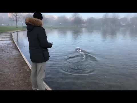 Apparition 108 Km/h Catamarano RC GPS top speed