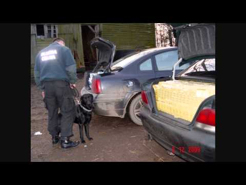 Boksicz - Kontrabanda