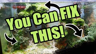 How to ELIMINATE ALL ALGAE from an Aquarium | Dragon Valley 2.0 REVIVAL