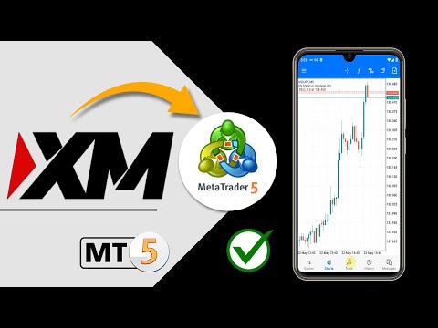  How to Install MetaTrader 5 MT5 on PC Laptop Windows 11 10 2024
