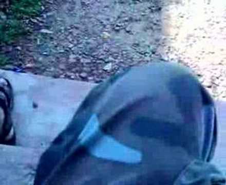 My love for cats n vice versa