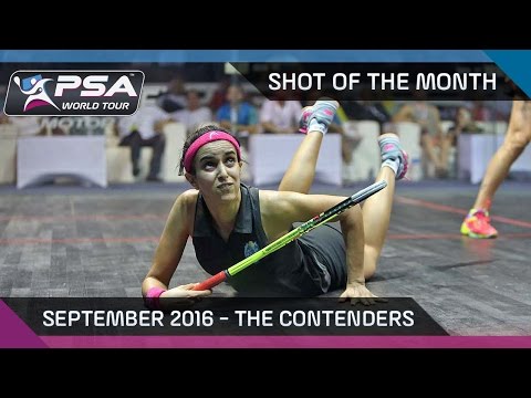 Squash: Shot Of The Month September 2016 - The Contenders