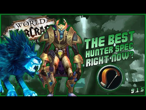 Beast Mastery Hunter M+ Guide In 60 Sec | Shadowlands 9.1.5