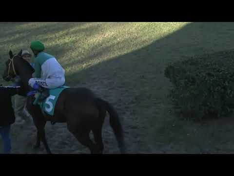 HIPODROMO SINT PAYSANDU 220415 c09 1° WARDIANA DOR