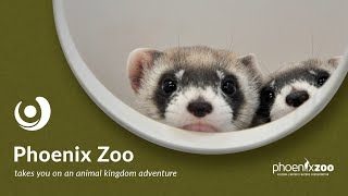 Varsity Tutors’ StarCourse - Animal Kingdom Adventures with the PHOENIX ZOO