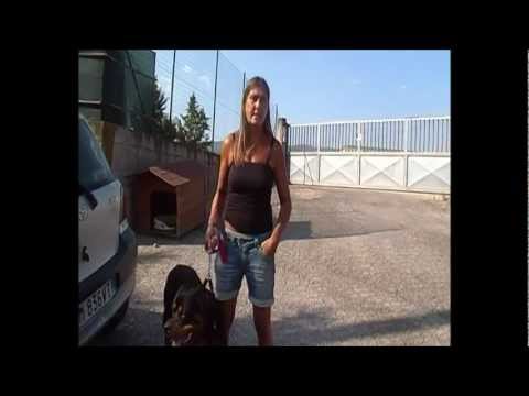 Frescodiweb.it - Il canile di Ossaia (Cortona) - Intervista alla responsabile