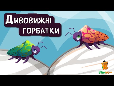 🍀 Дива природи. Явища навколо нас. Горбатки 🌏