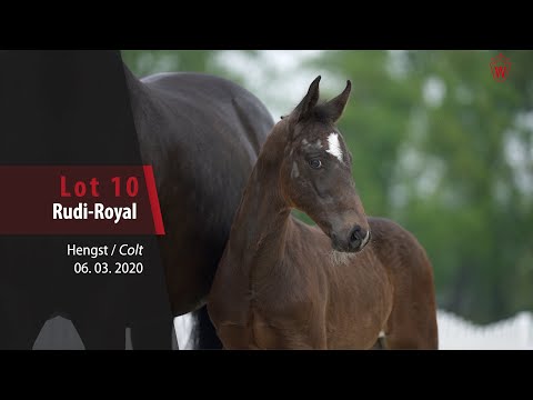 10 Rudi Royal Hengst gegen Rubin Royal – Bordeaux
