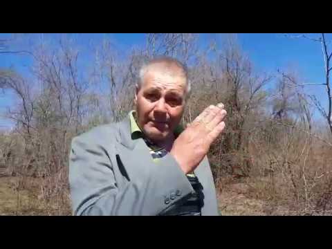 Interviu cu cel care a descoperit taierile ilegale