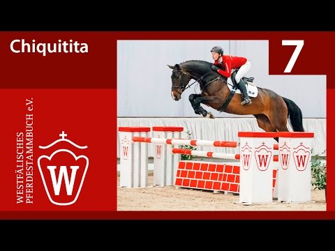 07 Chiquitita Stute v. Chike - Pilot