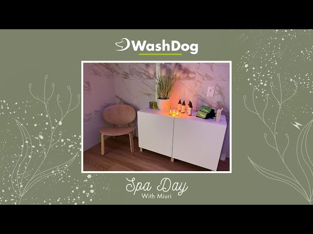 Youtube - Wash Dog Gland